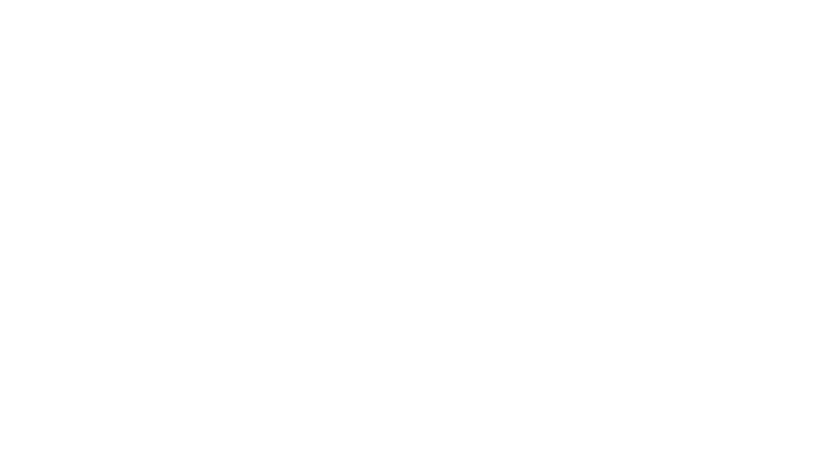 Social Hub Group